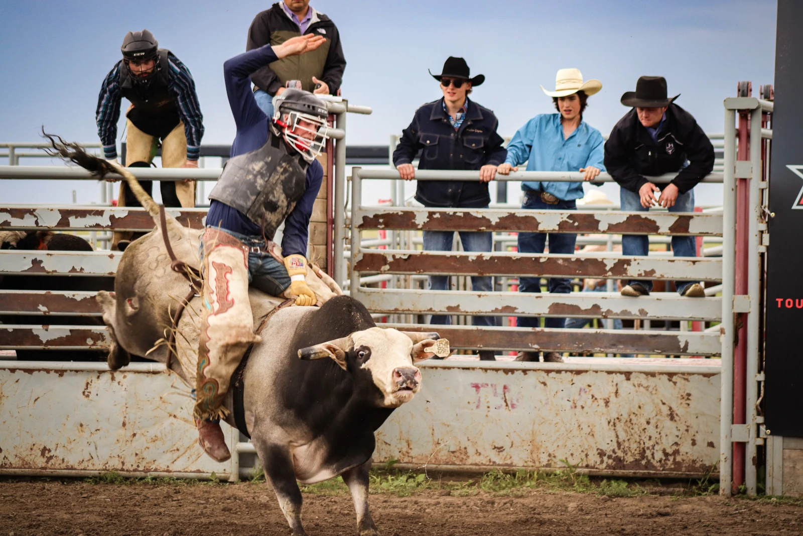 Wheatland Charity PBR